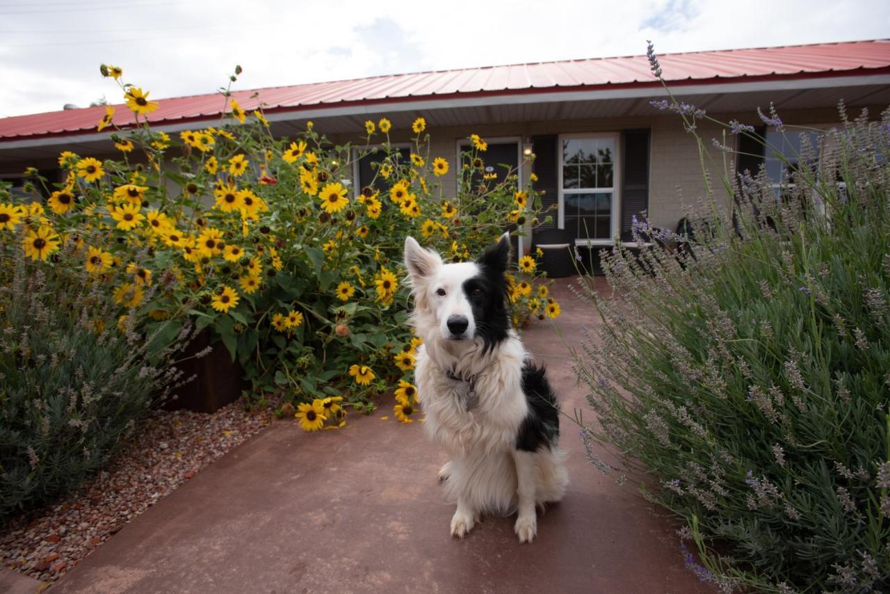 The Flagstone Boutique Inn & Suites Kanab Luaran gambar